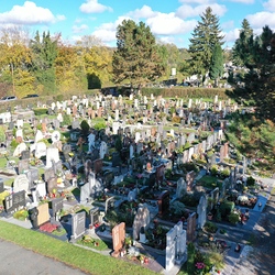 Graz-St.Peter Ortsfriedhof