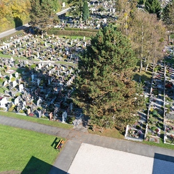 Graz-St.Peter Ortsfriedhof